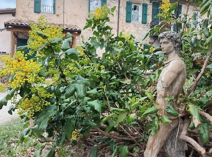 卡莫拉尼奥卡住宿加早餐旅馆 帕武洛内尔夫里尼亚诺