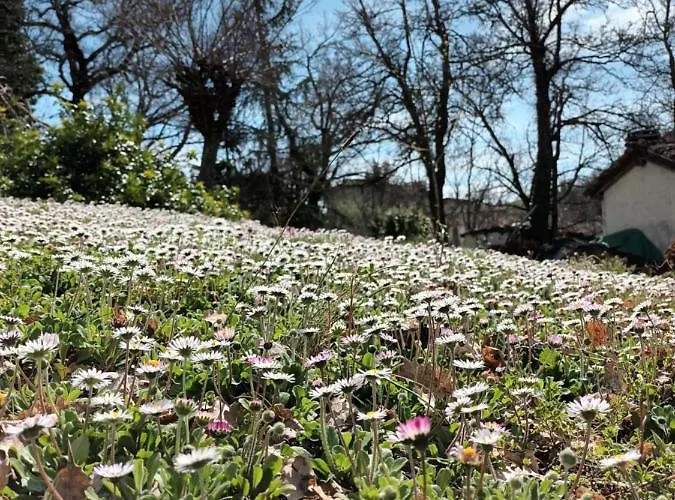 住宿加早餐酒店 卡莫拉尼奥卡住宿加早餐旅馆 帕武洛内尔夫里尼亚诺