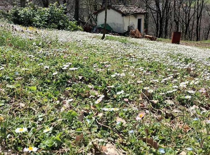 住宿加早餐酒店 卡莫拉尼奥卡住宿加早餐旅馆