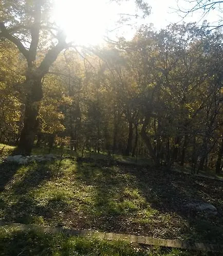 住宿加早餐酒店 卡莫拉尼奥卡住宿加早餐旅馆
