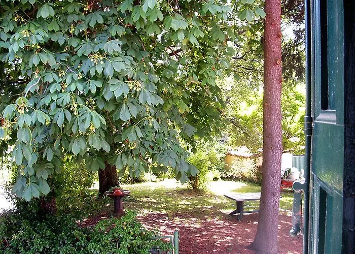 住宿加早餐酒店 卡莫拉尼奥卡住宿加早餐旅馆