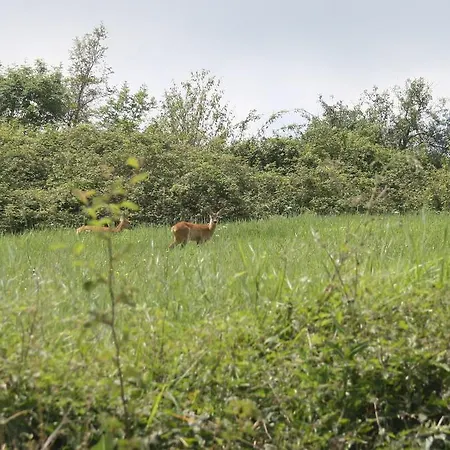 Ca' Morano 3* Pavullo nel Frignano