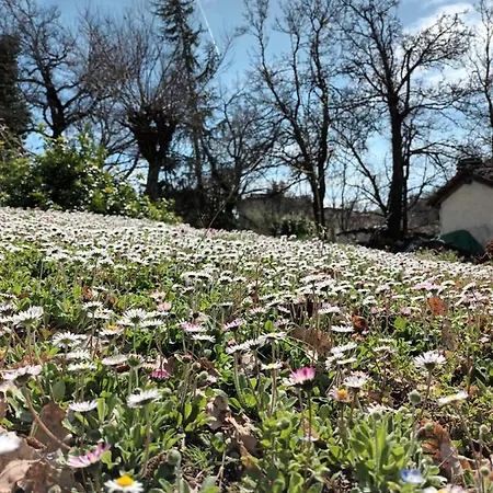 Bed & Breakfast Ca' Morano Pavullo nel Frignano