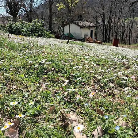 Bed & Breakfast Ca' Morano