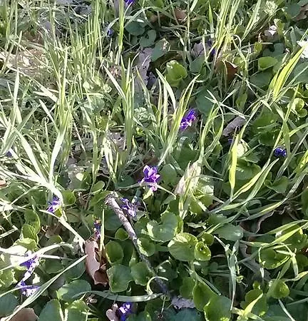 Ca' Morano Pavullo nel Frignano