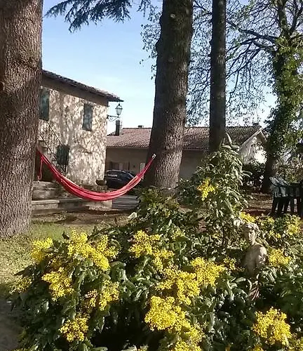 Bed & Breakfast Ca' Morano